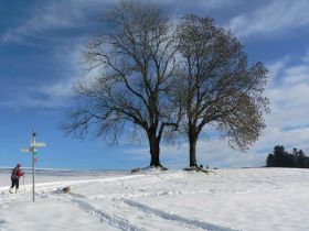 winter_schneeschuhe.jpg